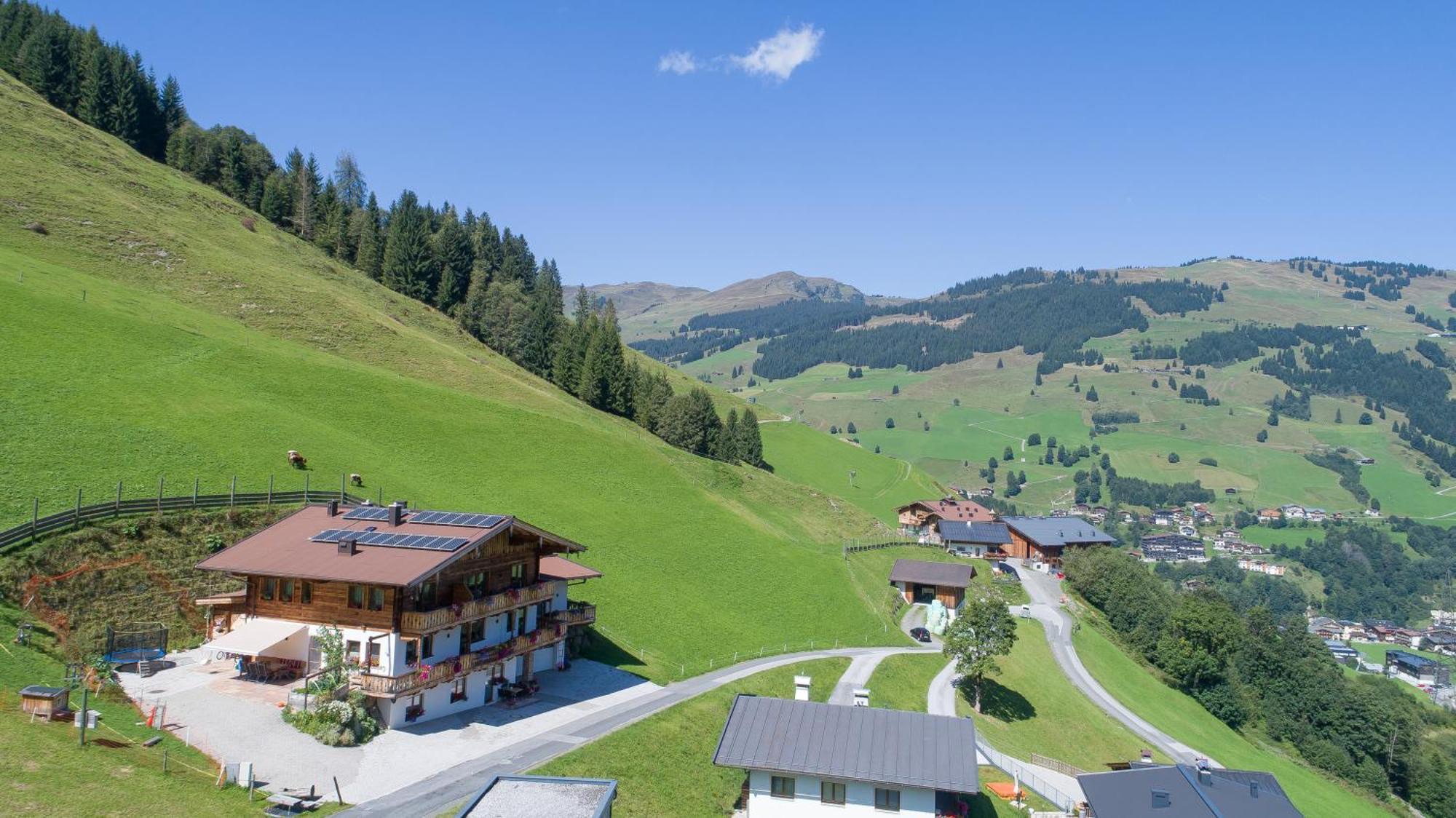 Landhaus Hinterglemm Apartment