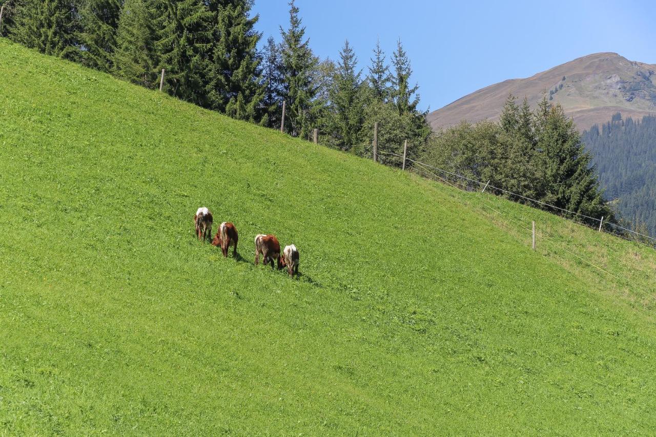 Landhaus Hinterglemm * Saalbach-Hinterglemm