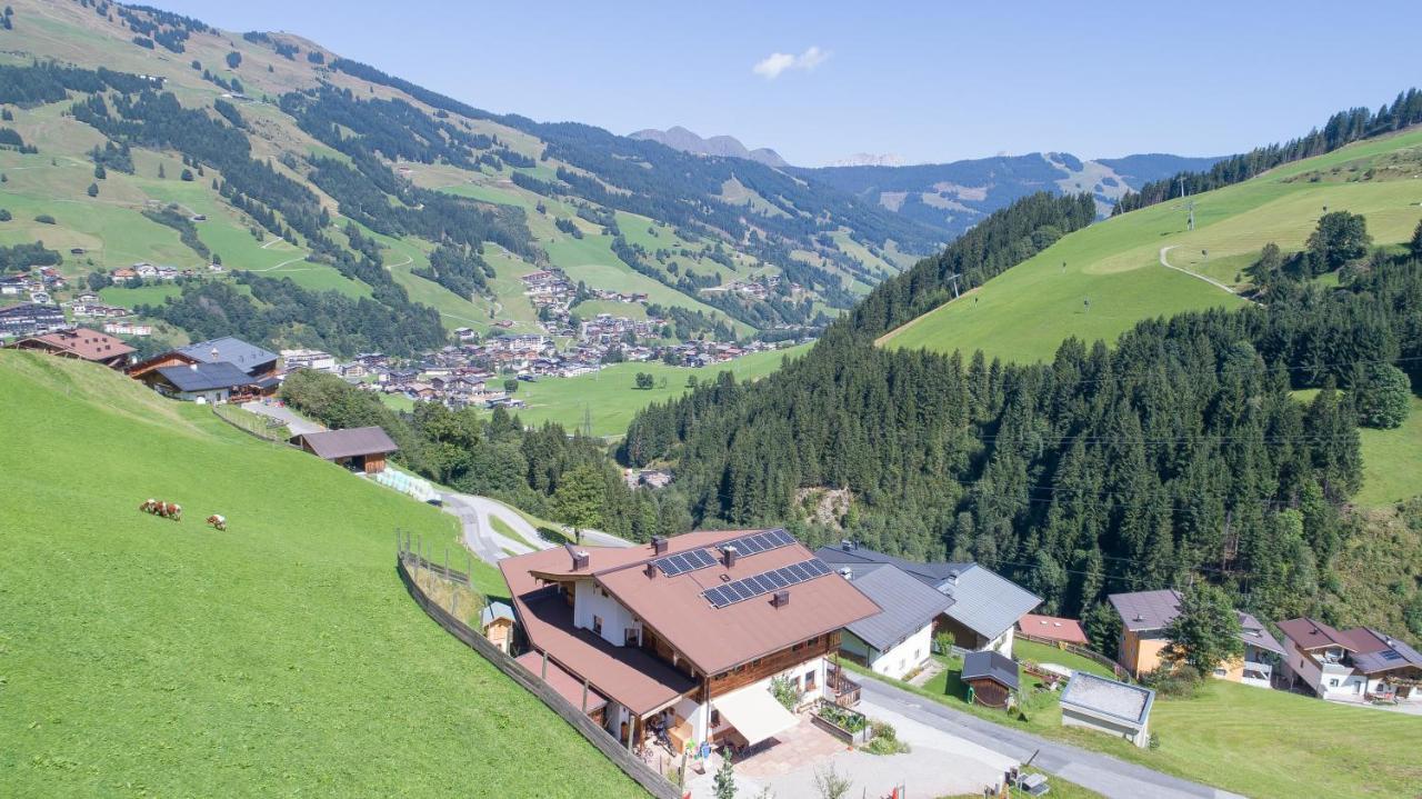 Apartment Landhaus Hinterglemm *