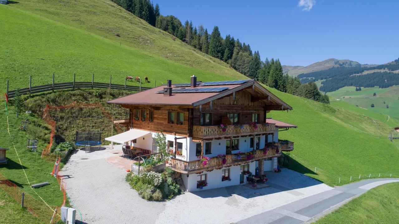 Apartment Landhaus Hinterglemm
